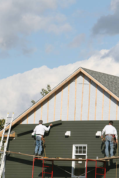 Shed Removal in Donaldsonville, LA